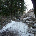 path