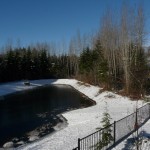 pond