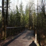 bridge First bridge along path