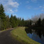 path Path along the Pond